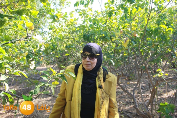 ibtesamat n0130 (5).JPG